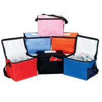 6-CAN COOLER BAG (CB600) - Bagsko.com