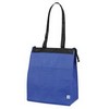 Insulated Hot/Cold Cooler Tote - Large (CT103) - Bagsko.com